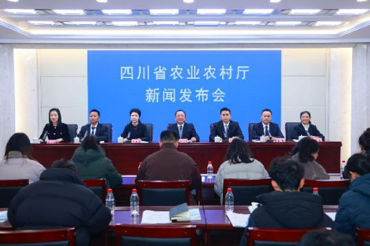 2025年度农村社会事业典型案例发布