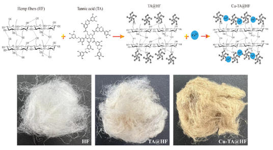 全绿色工艺解锁多功能抗菌新材料 全绿色工艺解锁多功能抗菌新材料